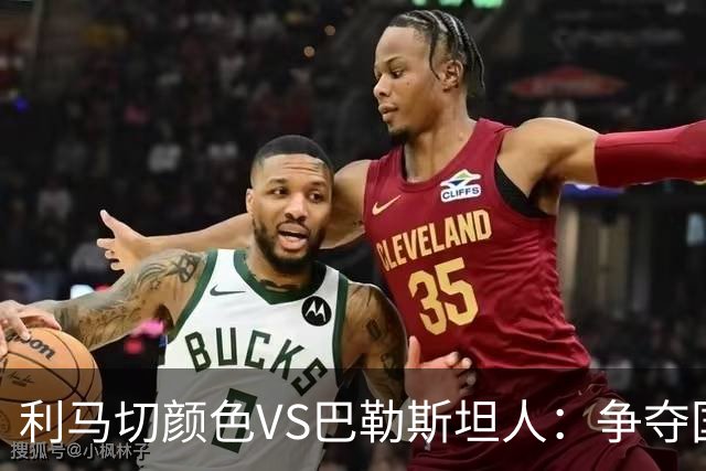 利马切颜色VS巴勒斯坦人：争夺国际赛事席位的关键之战